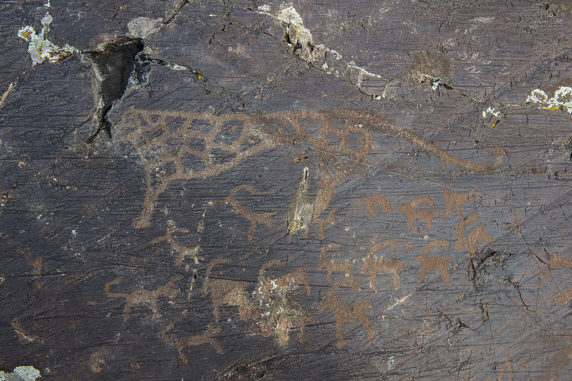 Altai Tavan Bogd - Prehistoric rock art Rock painting of a snow leopard. Stefan Cruysberghs